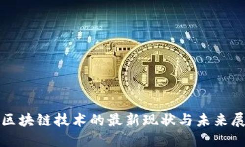 泛區(qū)塊鏈技術的最新現(xiàn)狀與未來展望