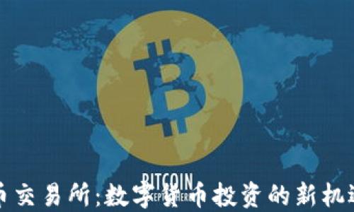 
區(qū)塊鏈幣交易所：數(shù)字貨幣投資的新機遇與風險