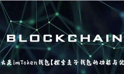 什么是imToken錢包？探索麥子錢包的功能與優勢